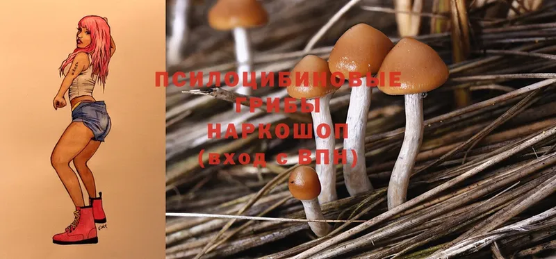 hydra ONION  купить наркоту  Лиски  Псилоцибиновые грибы мухоморы 